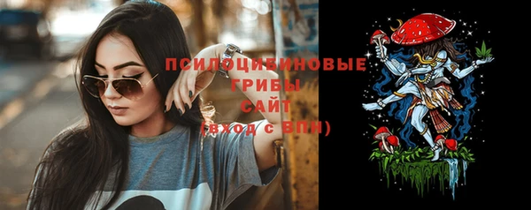 трава Аркадак
