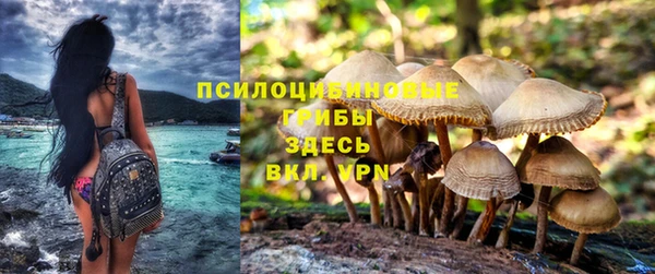 трава Аркадак