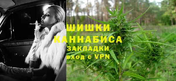 трава Аркадак