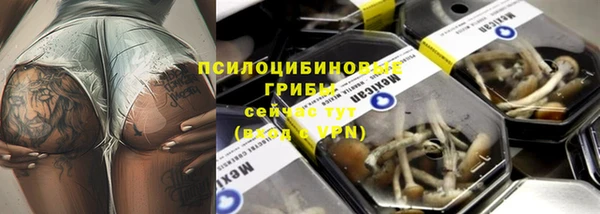твердый Вяземский